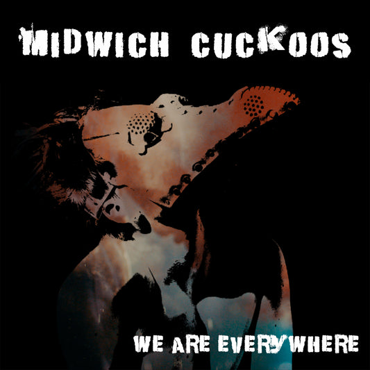 We Are Everywhere - CD